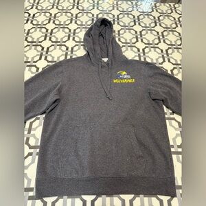 Gray University of Michigan Wolverines Hoodie
